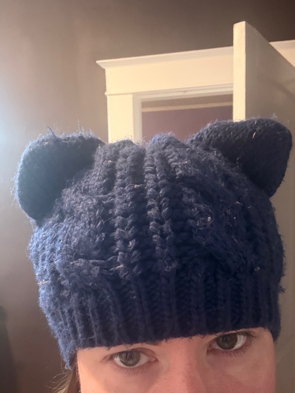 Kids Cable-Knit Hat with Ear Accents - Navy